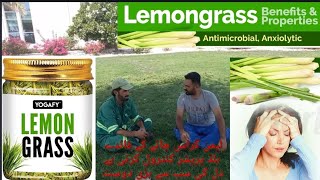 Lemongrass Tea and Its Benefits  لیمن گراس چائے اور اس کے فائدے [upl. by Firehs]