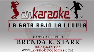 La gata bajo la lluvia  Brenda K Starr  Karaoke  Salsa [upl. by Linnet136]