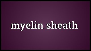 Myelin sheath Meaning [upl. by Napoleon]