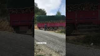 Tampon işi bıraktı 😂😂 Onur Yol yolsanakliyat keşfet mercedes axor3240 odunjeti🚀 [upl. by Jewelle]