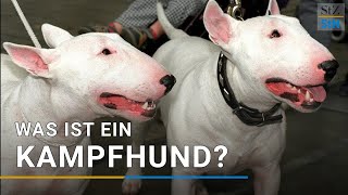 quotKampfhundequot Welcher Hund gilt als Kampfhund [upl. by Damle]