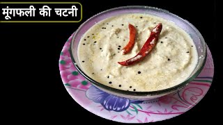 मूंगफली की चटनी बनाने की विधि‌  Peanut Chutney Recipe In Hindi [upl. by Ikram]