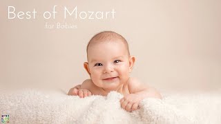 Best of Mozart for Babies Brain Development  Classical Piano for Better Memory amp Cognitive Skills [upl. by Stover739]