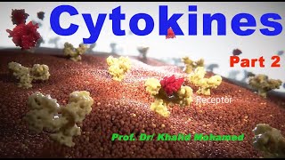 Cytokines Part 2 [upl. by Kerad]