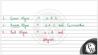 Which of the following class of algae is mostly found in salt water  A Phaeophyceae B Rhodo [upl. by Ahseile]