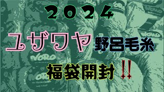 2024 ユザワヤ福袋購入品✨野呂毛糸 [upl. by Meehyrb]