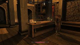 Lets Play Enderal Forgotten Stories TES V Skyrim Total Overhaul MOD  Ep 51  WILD Theft [upl. by Legin]