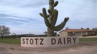 Stotz Dairy [upl. by Eus]