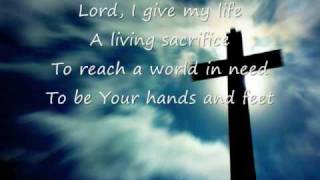 Life Song  Casting Crowns [upl. by Bonner]