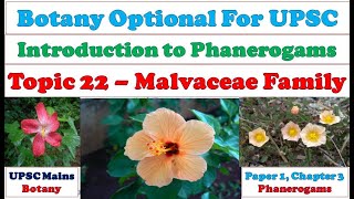 Malvaceae Family – Systematic Position Field Recognition Family Description Economic Importance [upl. by Calendra36]