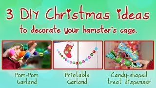 3 DIY Christmas ideas to decorate your hamsters cage [upl. by Hserus]