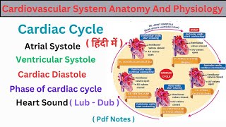 cardiac cycle in hindi  atrial systole  ventricular systole  complete diastole  heart sound [upl. by Bal]