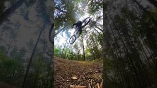 flowtrailstromberg flowtrail stromberg bikepark mtb mtblife insta360x3 insta360 [upl. by Ydur289]