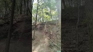 Sugarcreek Ohio hill climb 2stroke hillclimb moto hillkillers dirtbikes enduro hardenduro [upl. by Postman]