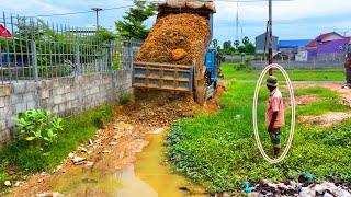 Start a new Flooded areas dozer D20A amp Truck 5T Pushing Soil Into water and Trash [upl. by Gavette236]