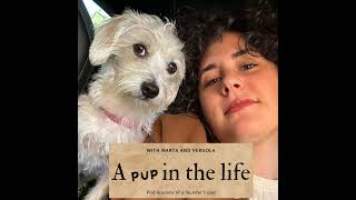 The single way to become a salesperson and better than 90 A Pup In The Life ep 77 [upl. by Etienne]