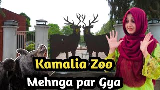 First Time visiting to Kamalia Zoo Kamalia wild life park need restoration [upl. by Hartmann]