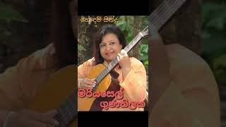 මරියසෙල් ගුණතිලක ගැයූ හොඳම ගීත Mariyasel Gunathilaka songs collection [upl. by Francyne804]