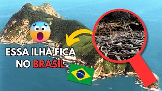 A Ilha Proibida do Brasil O Que Ninguém Te Contou Sobre a Ilha das Cobras [upl. by Thetos]