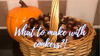 What to make with conkers [upl. by Ahsennek]