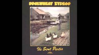 Buckwheat Zydeco  Uptown Zydeco [upl. by Padegs]