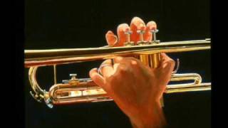 1796 HAYDN Trumpet Concerto in E flat 3rd movement [upl. by Eiramnaej]