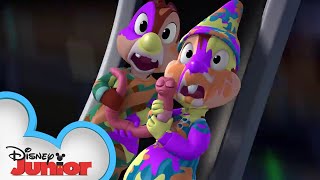 Trees A Crowd  Chip N Dales Nutty Tales  Disney Junior [upl. by Sebastiano]