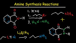 Amine Synthesis Reactions Organic Chemistry  Summary amp Practice Problems [upl. by Ettenot803]