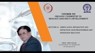 Lecture 4  Amino acids separation and detection Electrophoresis and Ninhydrin reaction [upl. by Ennelram]