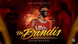 Rochy RD Un Brindis Instrumental Oficial By Nata Record [upl. by Kingsly]