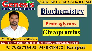 Proteoglycans  Glycoproteins  Lecture7  New online quotBatchquot for CSIR NETJRF  IITJAM [upl. by Stuckey]