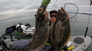 2022 Alameda Rockwall HALIBUT Tournament  HUGE halibut and limit [upl. by Schacker]