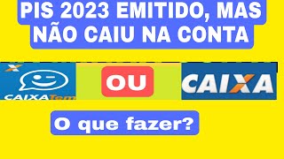 PIS 2023 NÃO CAIU NA CONTA DA CAIXA O que fazer [upl. by Torrey619]