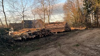 Rückewagen im Einsatz [upl. by Sinoda]