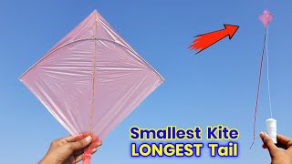 Smallest Kite with Longest Tail  how to make plastic bag kite  New long tail kite flying [upl. by Boice42]