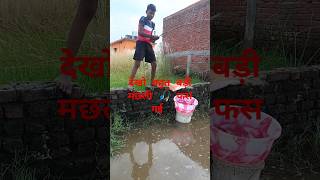 बहुत बडी मछली देखो जल्दी करो। machhri ratantata fish machhali fishing machhliwala 🎣🐟🐠🤣🤣🤣🤣🙏🙏🙏🙏🙏 [upl. by Bohman]