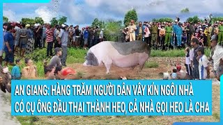 An Giang Hàng trăm người dân kéo đến ngôi nhà có cụ ông đồn là đầu thai thành heo [upl. by Nilloc]