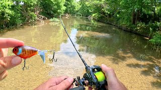 BFS Topwater Fishing Small Creek [upl. by Carrnan]