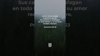 Proverbios 51523 biblevision biblia bible [upl. by Namrehs]