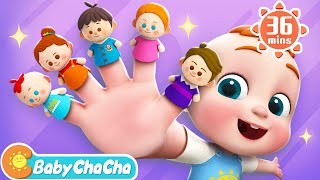 The Finger Family Song  Daddy Finger Where Are You  More Baby ChaCha Nursery Rhymes amp Kids Songs [upl. by Alanson]