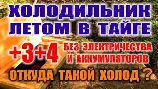 КАК СДЕЛАТЬ ХОЛОДИЛЬНИК СВОИМИ РУКАМИ Самодельный холодильник в лесу без электричества 4 постоянно [upl. by Shawn]