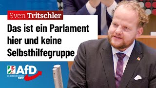 Das ist ein Parlament hier und keine Selbsthilfegruppe – Sven Tritschler AfD [upl. by Llywellyn]