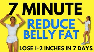 7 Minute Belly Fat Workout  7 Day Challenge  Start Today [upl. by Nalym750]