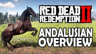 Andalusian Overview  Red Dead Redemption 2 Horses [upl. by Airdnola929]