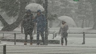 23日にかけ平野部で大雪 都心で10センチ超の積雪 [upl. by Nospmis950]