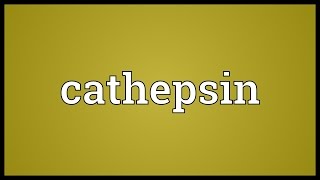 Cathepsin Meaning [upl. by Alake]