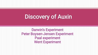 Discovery of Auxin Darwins experiment paal experiment Boysen Jensen experiment went experiment [upl. by Yleak]