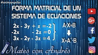 Forma o expresión matricial de un sistema de ecuaciones lineales [upl. by Barta]