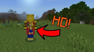 Minecraft Bedrock Edition  HD Capes Preview [upl. by Kirima]