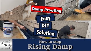 How to stop rising damp easy DIY solution [upl. by Sibell]